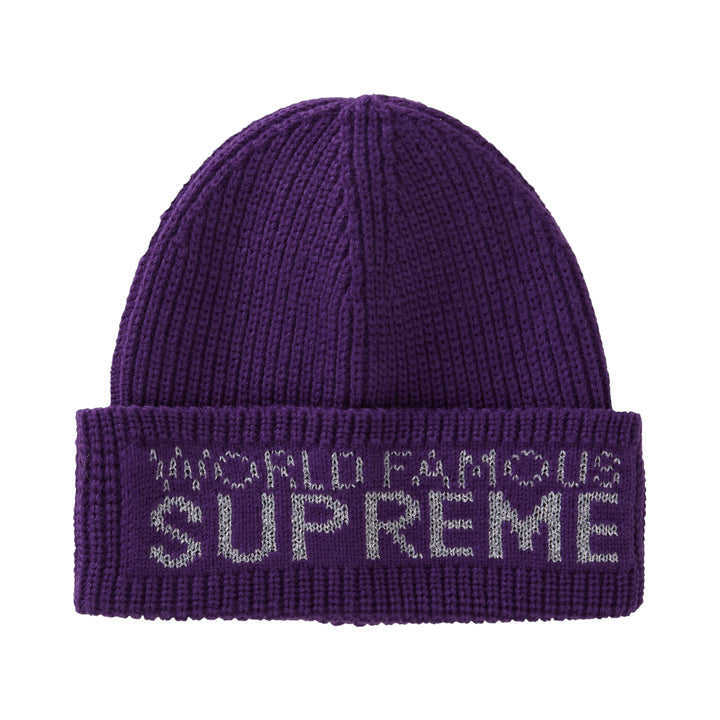 Supreme world famous beanie