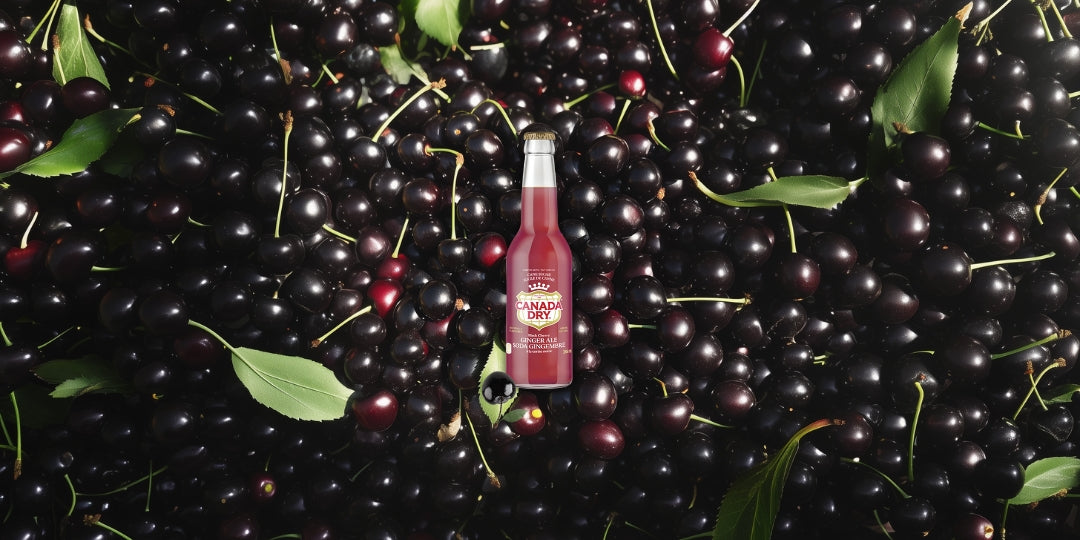 Discover the Unique Taste of Canada Dry Ginger Ale Black Cherry – Now at YEG Exotic!