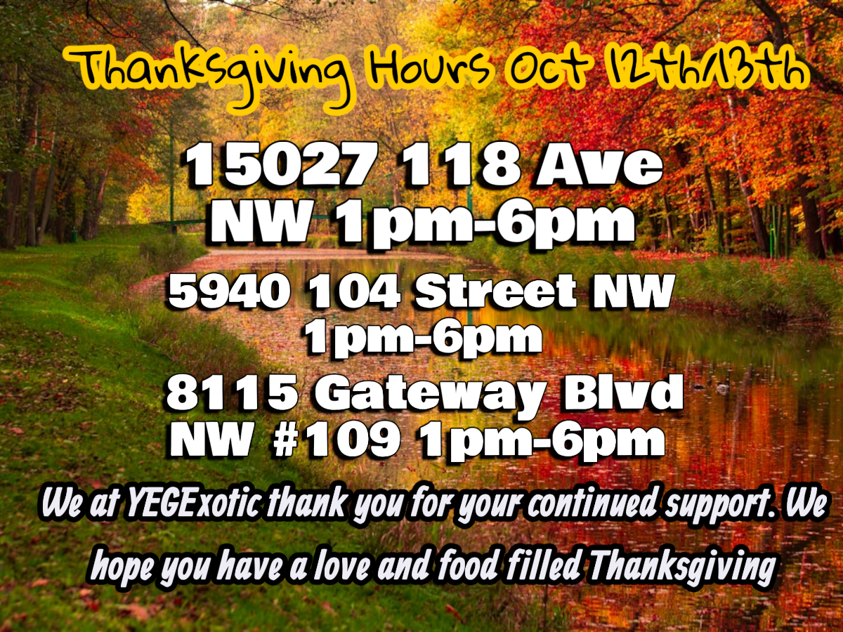 Thanksgiving Hours at YEG Exotic! We’re Open for Your Snack Emergencies!