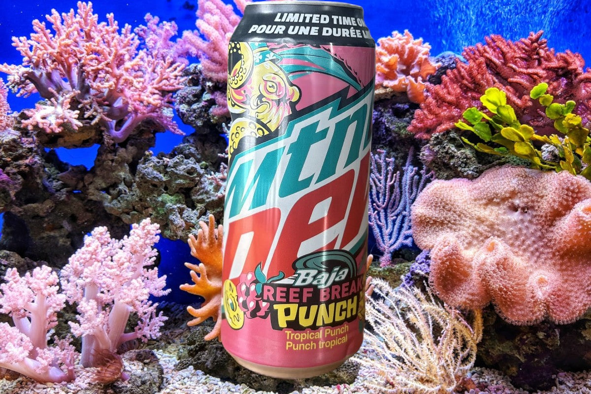 Mtn Dew Reef Break Punch 473ml | YEG Exotic Edmonton Pop