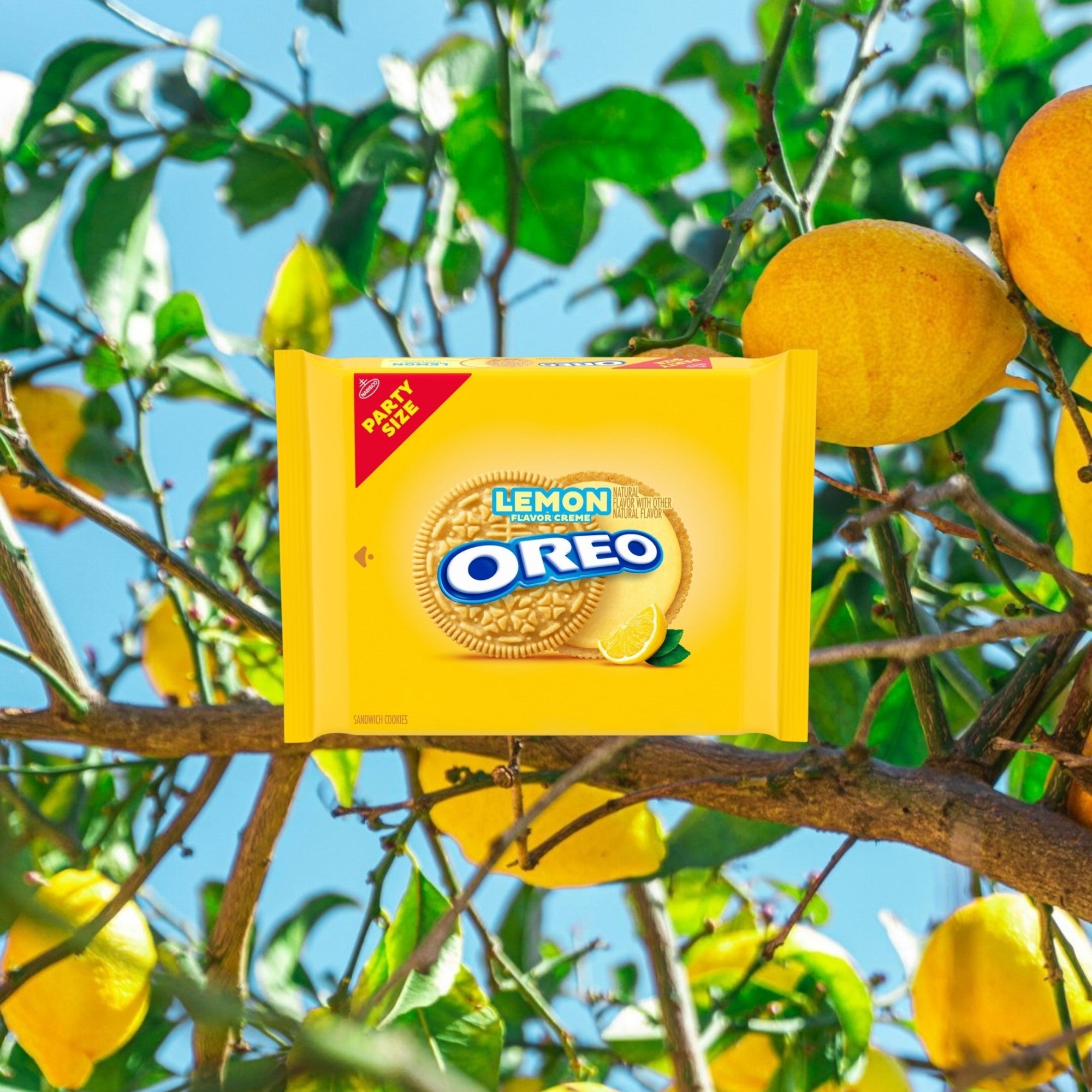 Nabisco Oreo Lemon Crème Family Size – Zesty Cookies Now at YEG Exotic