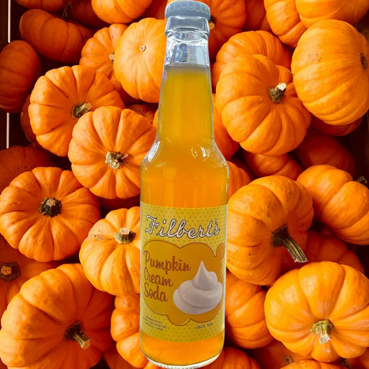 Filbert’s Pumpkin Cream Soda – A Sweet, Spicy Fall Treat at YEG Exotic