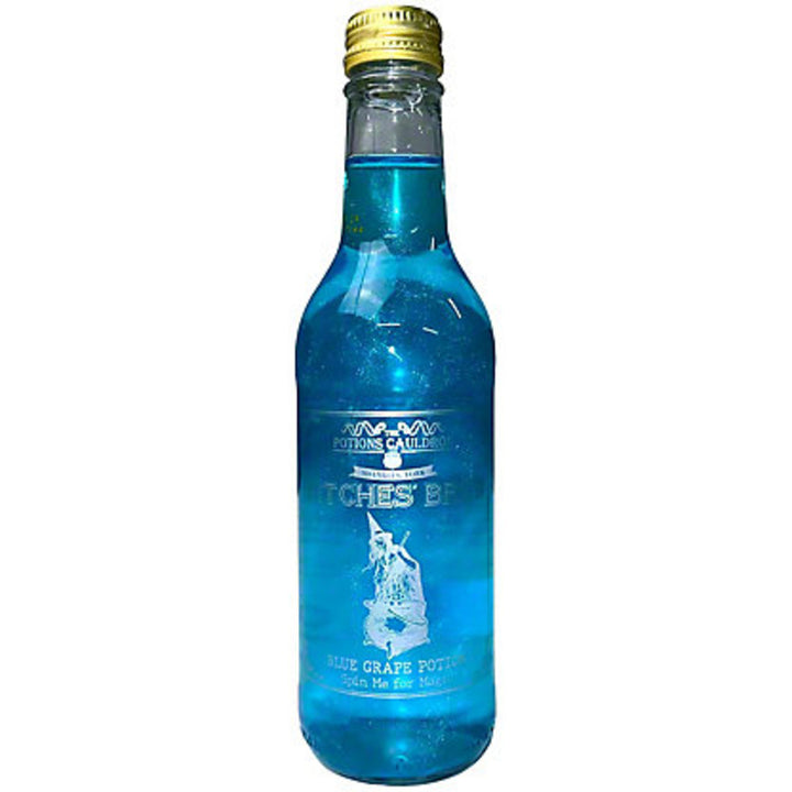 The Potions Cauldron